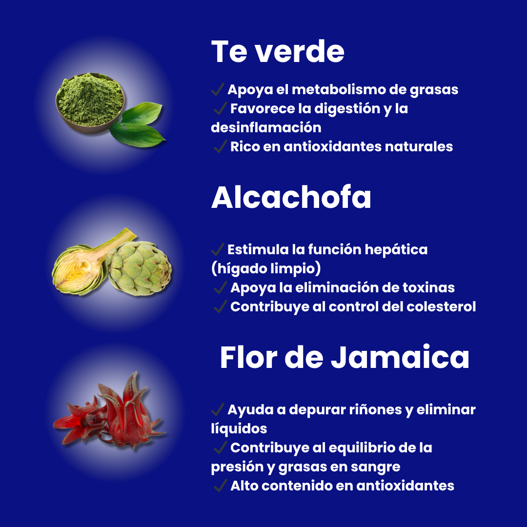 RtaFull - Hígado Graso Colon Inflamado
